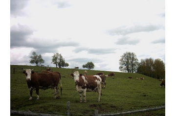 Семейный пансионат Heřmanovice 7